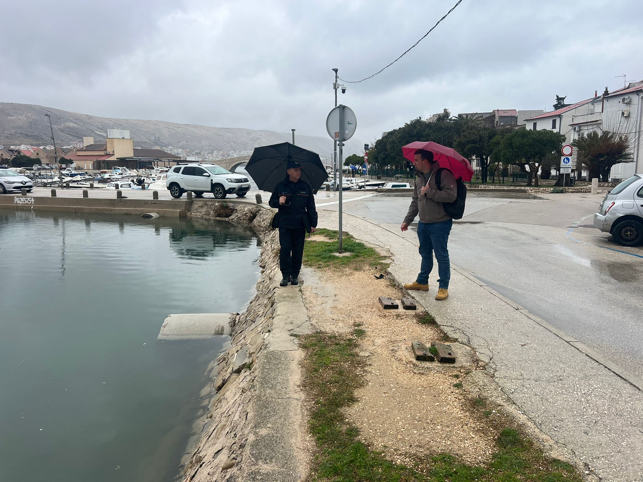 WhatsApp Image 2026 02 05 at 11.51.01 1